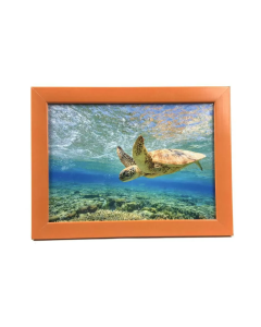 Porta Retrato VDA 15X21 019 Laranja